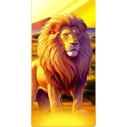 Lion
Safari